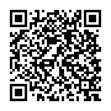 QR code for ZMV551