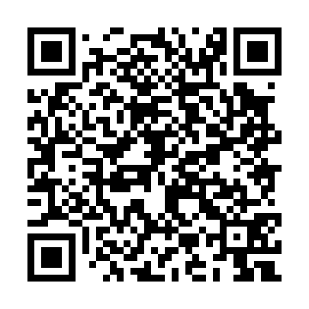 QR code for ZMX071
