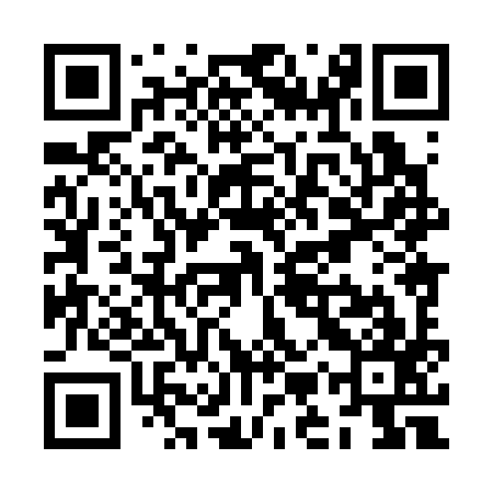 QR code for ZMX397