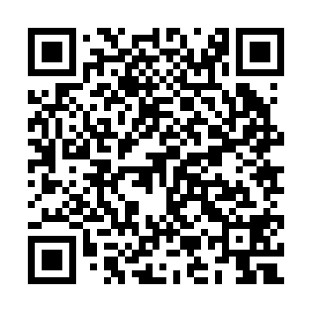 QR code for ZMZ218