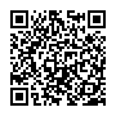 QR code for ZMZ809