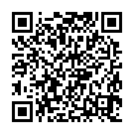 QR code for ZNC383