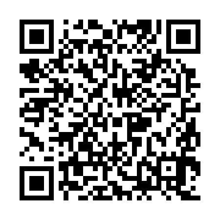 QR code for ZNC395