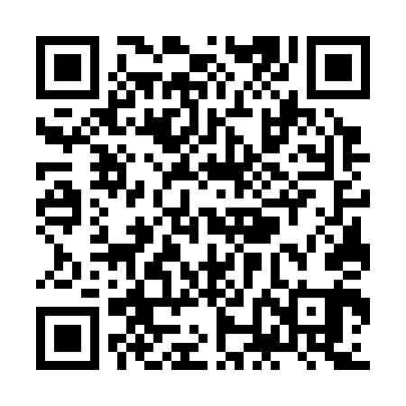 QR code for ZNG341