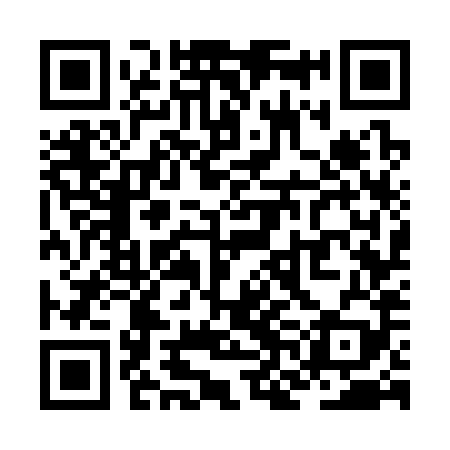 QR code for ZNG389