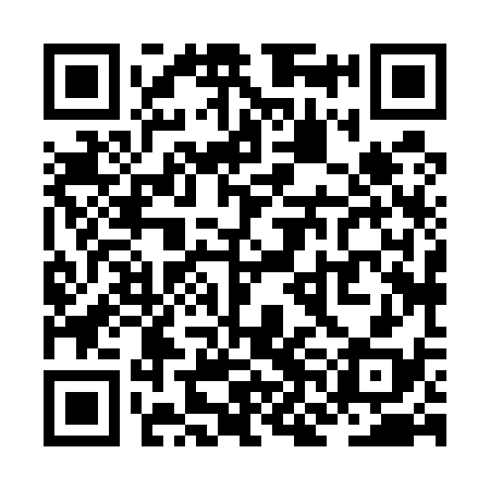 QR code for ZNH538