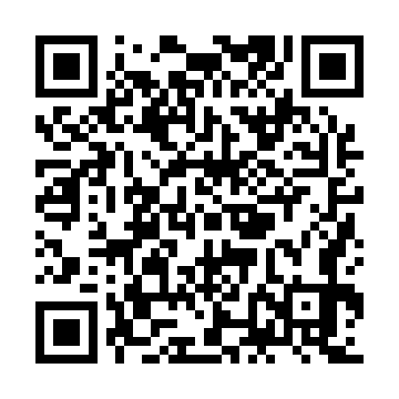 QR code for ZNJ173