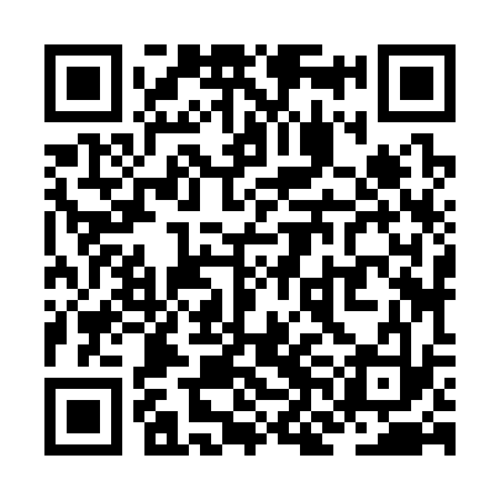 QR code for ZNJ333