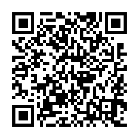 QR code for ZNN691