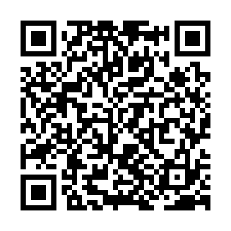 QR code for ZNO333