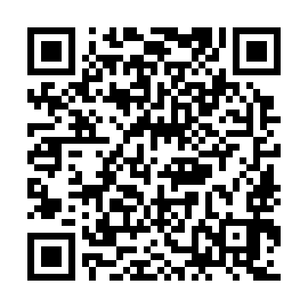 QR code for ZNO393