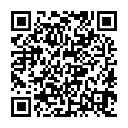 QR code for ZNO981