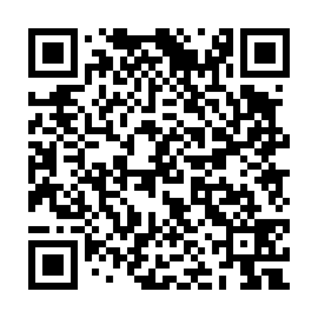 QR code for ZNP439