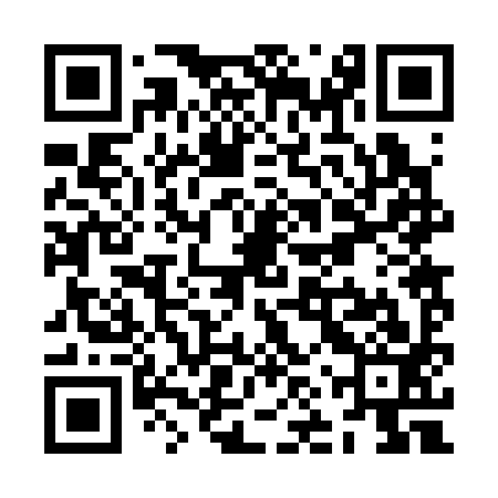 QR code for ZNR393
