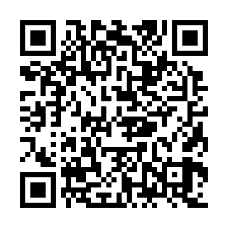 QR code for ZNS369