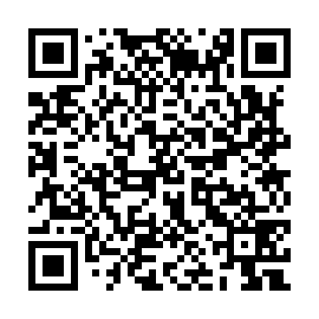 QR code for ZNS979