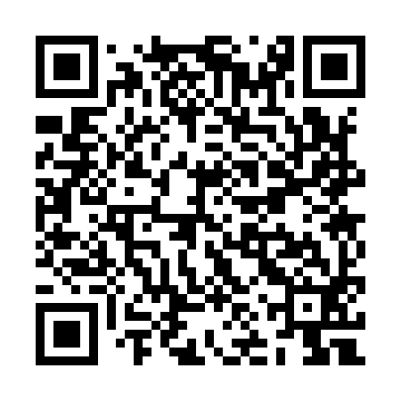 QR code for ZNS992