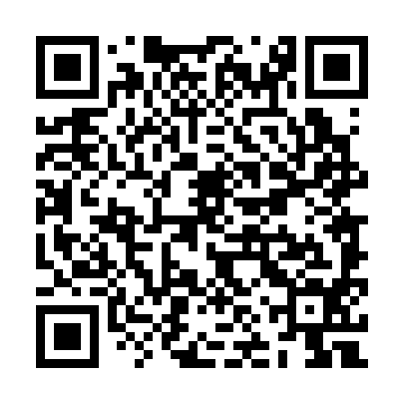 QR code for ZNT394