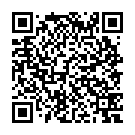 QR code for ZNX379
