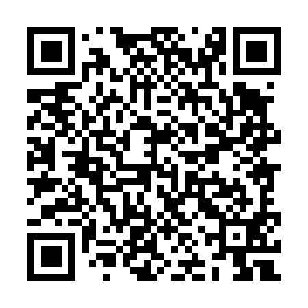 QR code for ZNX491