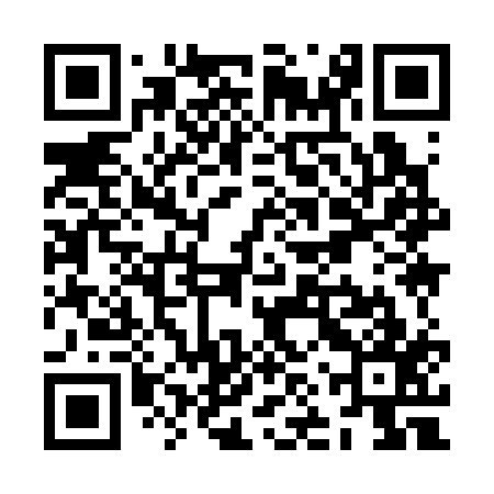 QR code for ZNY317