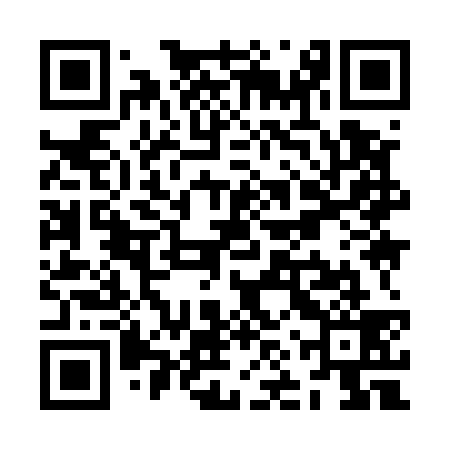 QR code for ZNY539