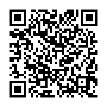 QR code for ZOB913