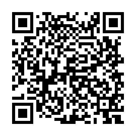 QR code for ZOB991