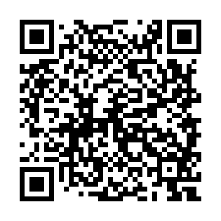 QR code for ZON986