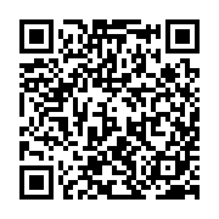 QR code for ZOQ381