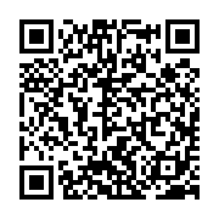 QR code for ZOR511