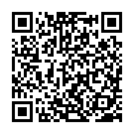 QR code for ZOZ389