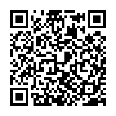 QR code for ZPA511