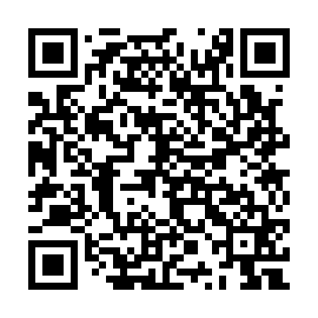 QR code for ZPC161