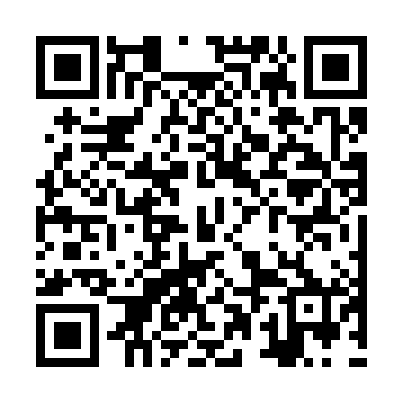 QR code for ZPF380
