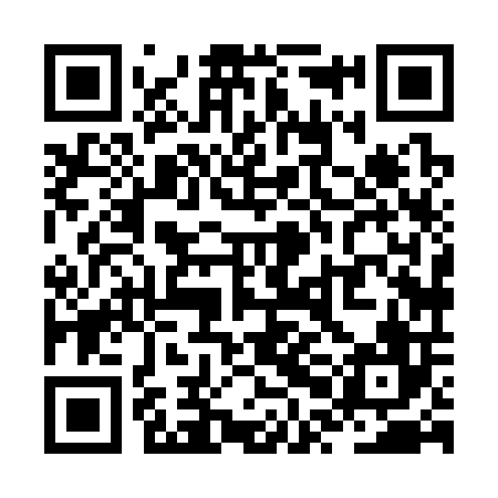 QR code for ZPH306