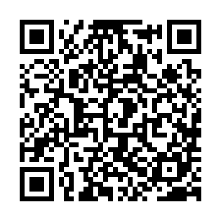 QR code for ZPH385