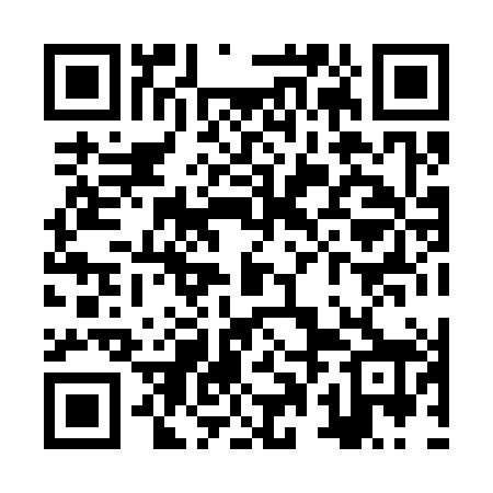 QR code for ZPH388