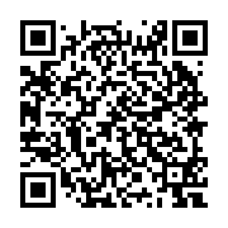 QR code for ZPI290