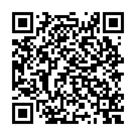 QR code for ZPI315
