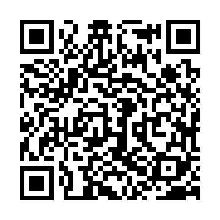 QR code for ZPJ369