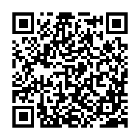 QR code for ZPJ386
