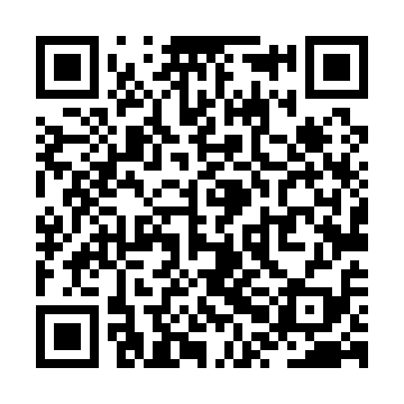 QR code for ZPL119