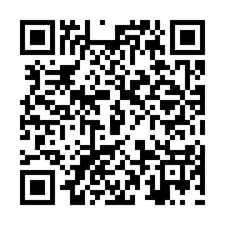 QR code for ZPL317