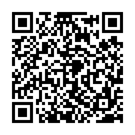 QR code for ZPL616