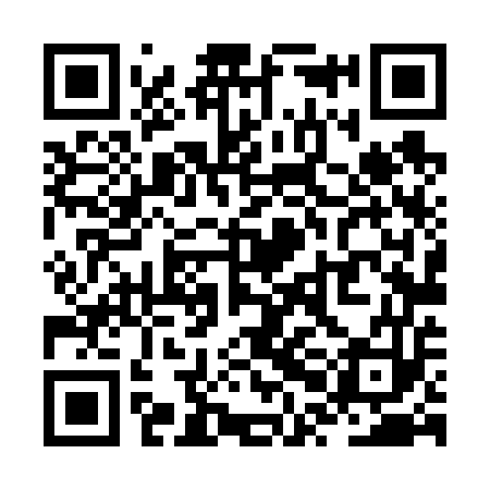 QR code for ZPL653