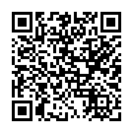 QR code for ZPL991