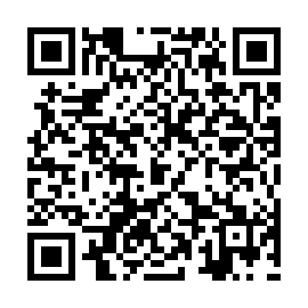 QR code for ZPM381