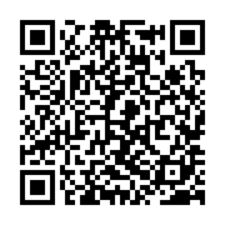 QR code for ZPN381