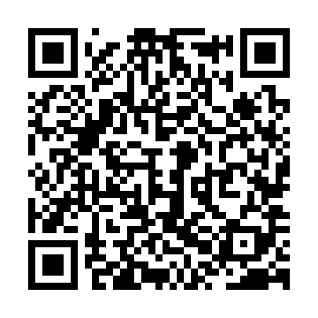 QR code for ZPN389